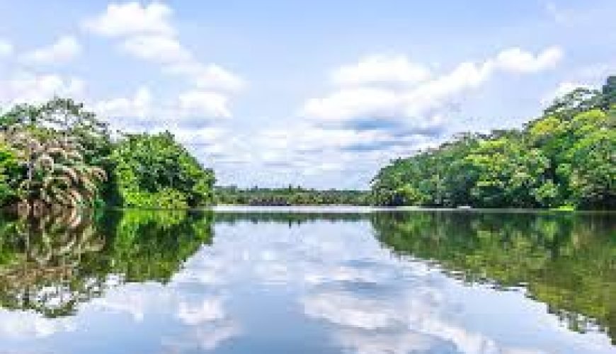 Eco-Tourism in Sierra Leone: Discovering Nature’s Untouched Beauty